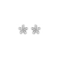 daisy studs