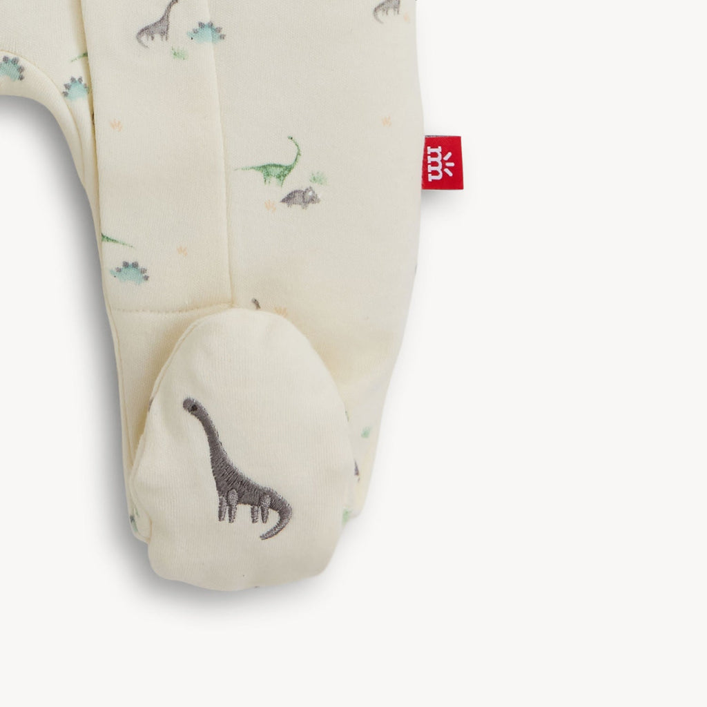 tiny dino footie