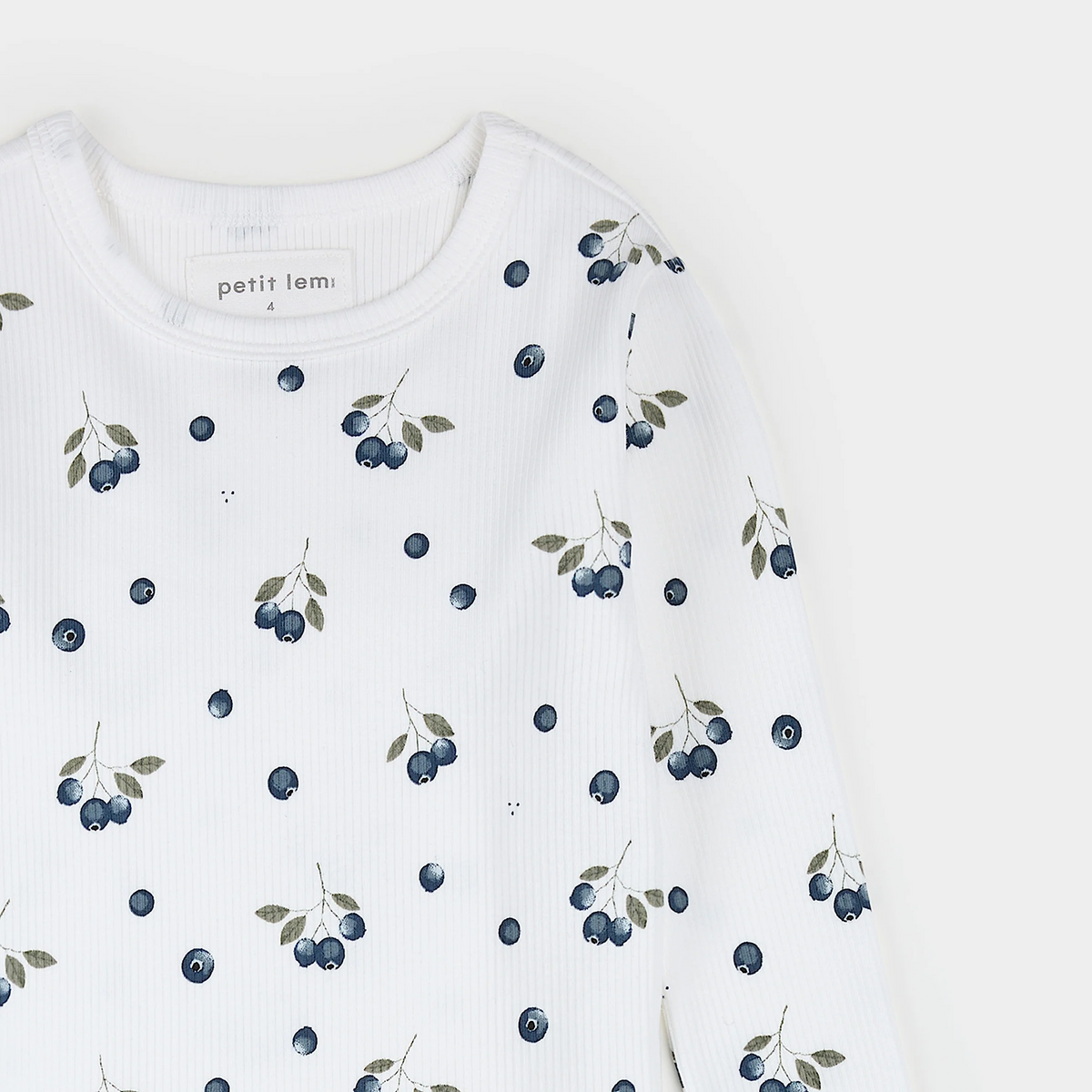 blueberry 2pc pj set